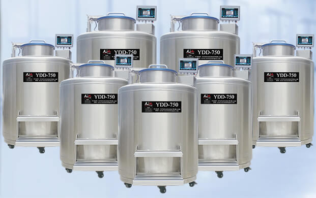 廣口液氮罐中的氮氣層為何能保存細胞樣本？