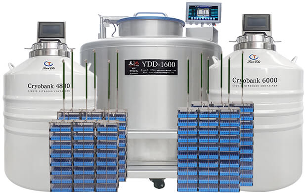 液位溫度可視液氮罐有哪些?