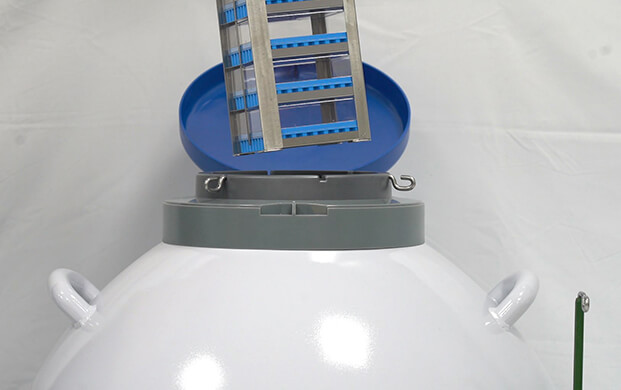 細菌可以凍在實驗室液氮罐里嗎？